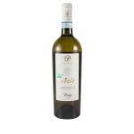 Ashe-bio-fronte-2-800x800 Ashe-bio-fronte-2-800x800