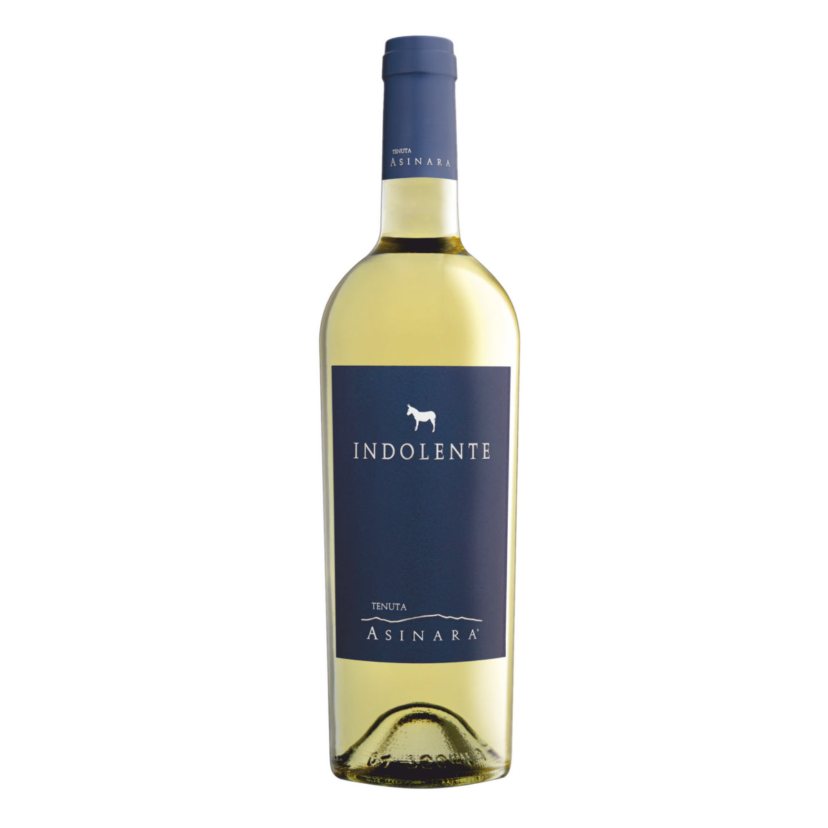 Indolente Bianco Vermentino di Sardegna DOC
