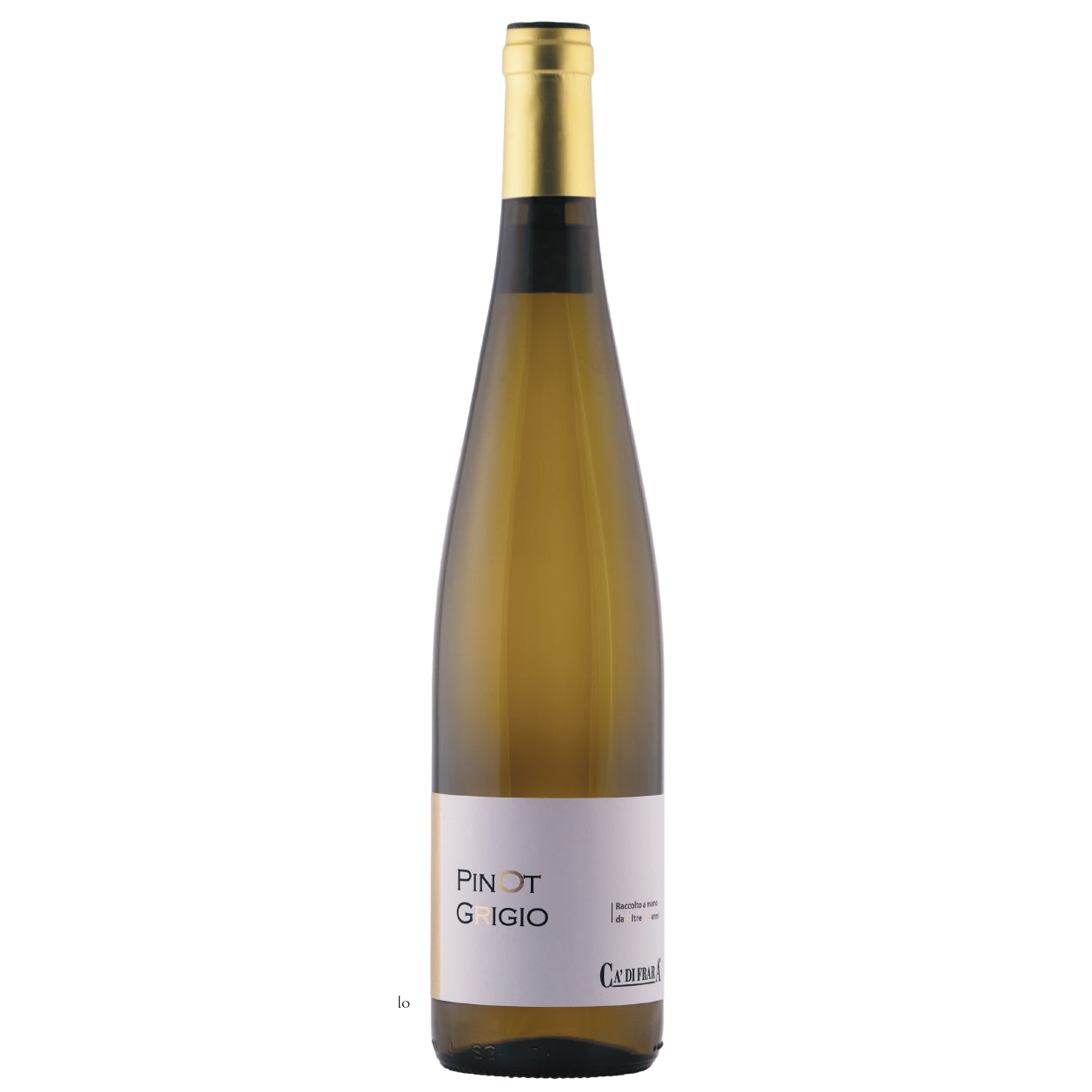 Pinot Grigio dell'Oltrepo Pavese DOP