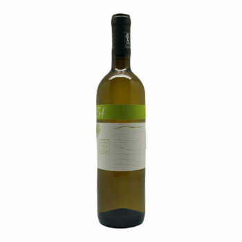 Marche Incrocio Bruni 54