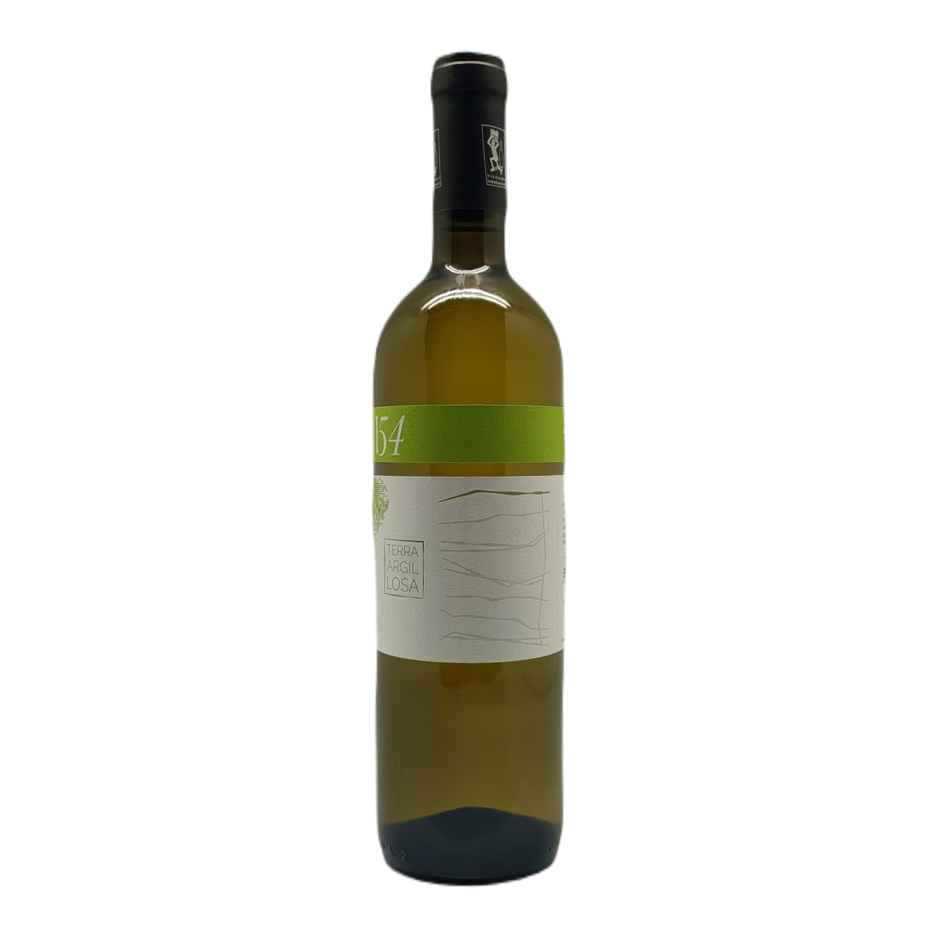 Marche Incrocio Bruni 54