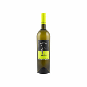 Oinochoe Verdicchio DOC Sup.2016        750ml