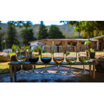 degustazione degustazione