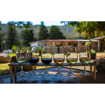 Degustazione in cantina
