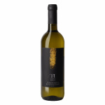 tralci-hirpini-Falanghina-Beneventano